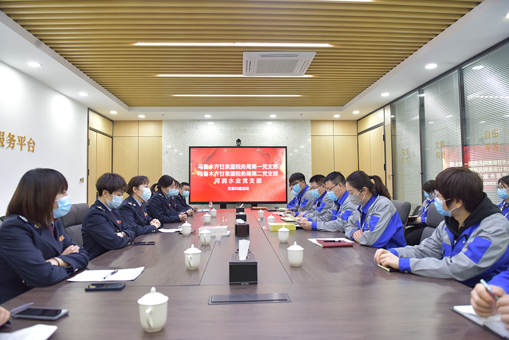開展支部共建座談會